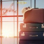 How Many Trips Do Latvian Patients Need for Dental Implants?